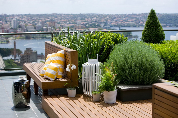 Sydney Roof Garden 2