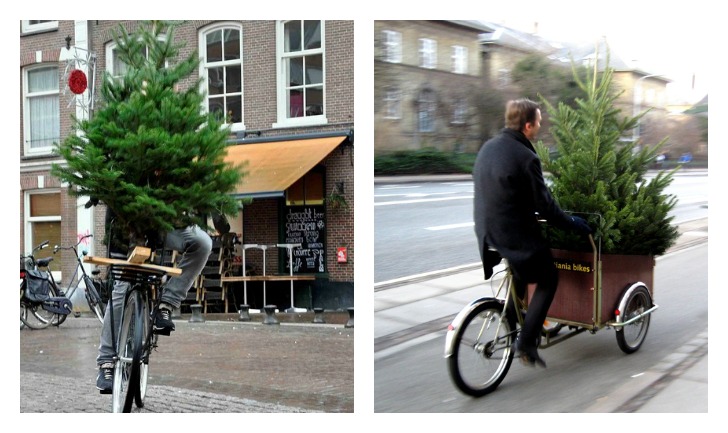 Christmas Tree Bike