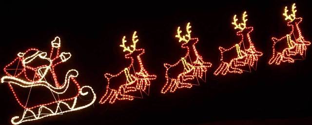 ChristmasGardenDecor03