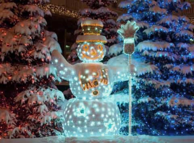 ChristmasGardenDecor05