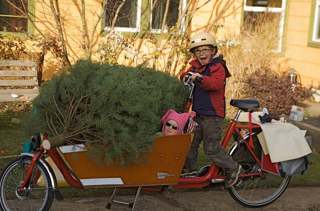 Chrstmas Tree Bike1