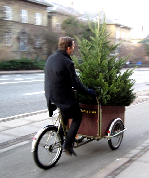 Chrstmas Tree Bike10