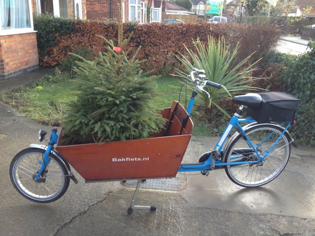 Chrstmas Tree Bike13