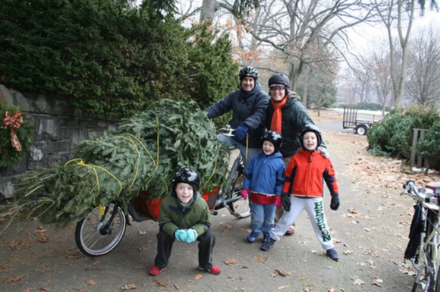 Chrstmas Tree Bike3