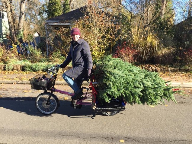 Chrstmas Tree Bike4