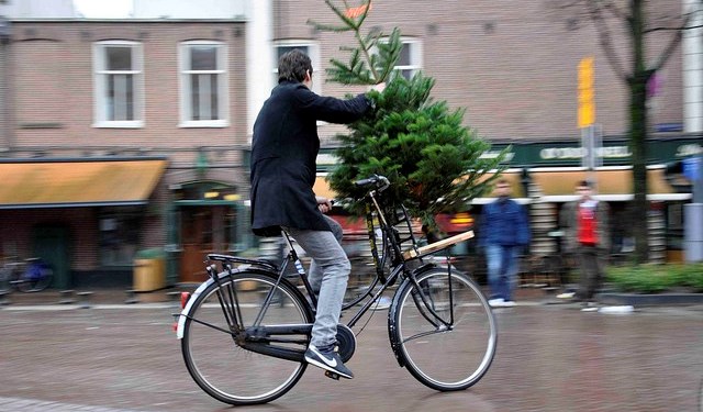 Chrstmas Tree Bike5
