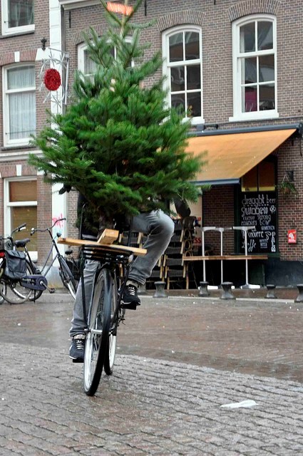 Chrstmas Tree Bike6
