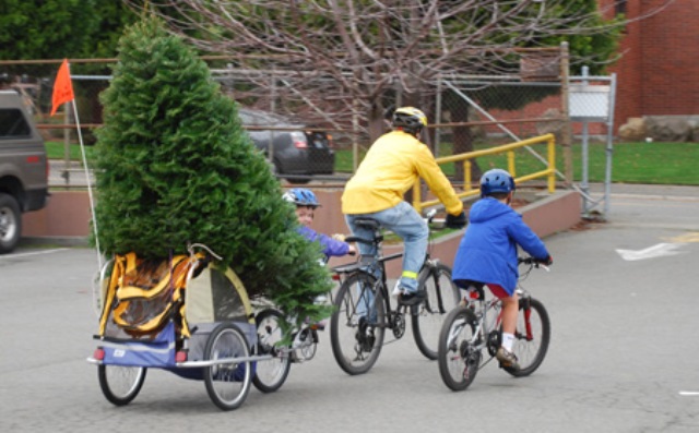 Chrstmas Tree Bike7