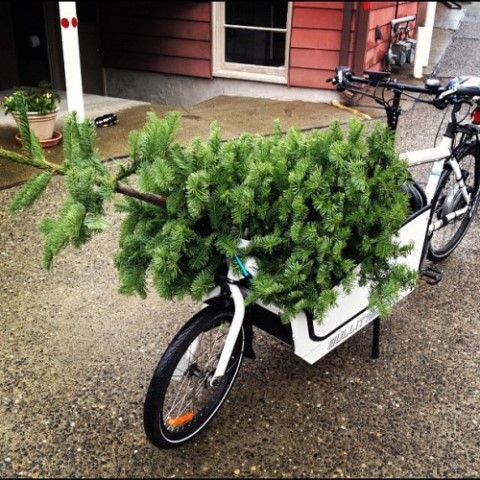 Chrstmas Tree Bike8