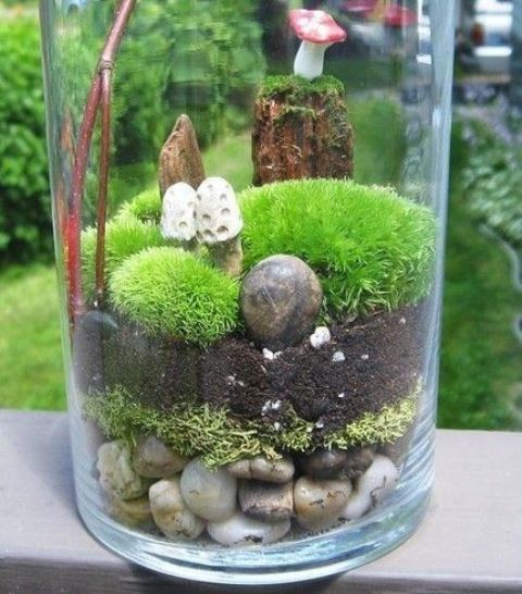 Terrarium 2