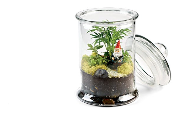 Terrarium 3