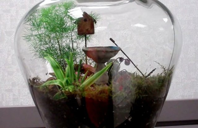 Terrarium 6