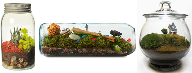 Terrarium Feat