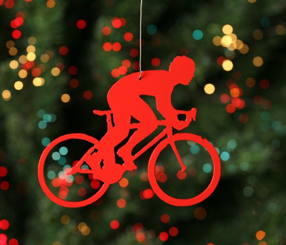 Xmas Bike Decor 12