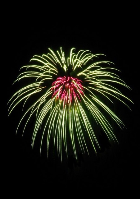 Flower Fireworks 11
