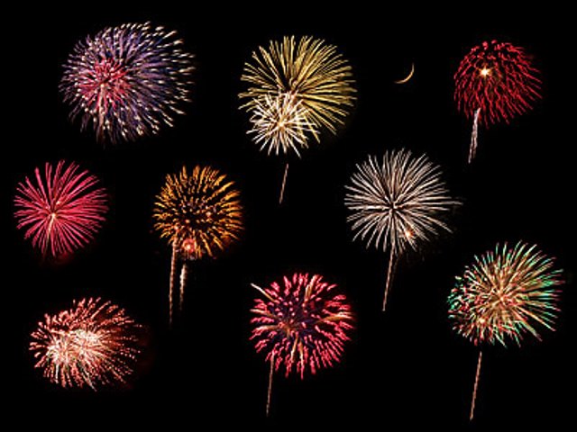 Fireworks Flowers