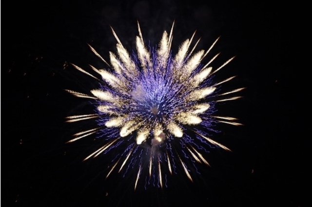 Flower Fireworks 15