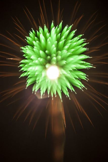 Flower Fireworks 2