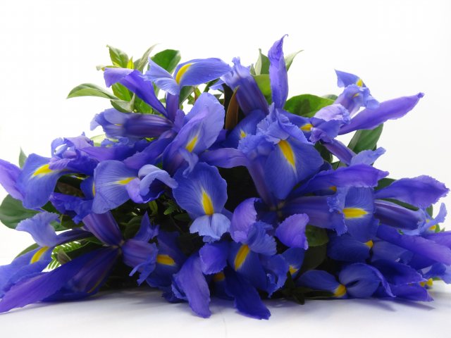 IrisBouqet