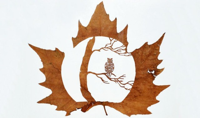 Leaf Artwork 1