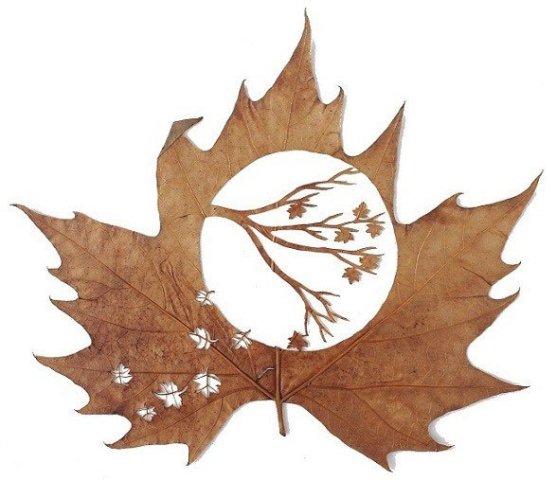 Leaf Artwork 7