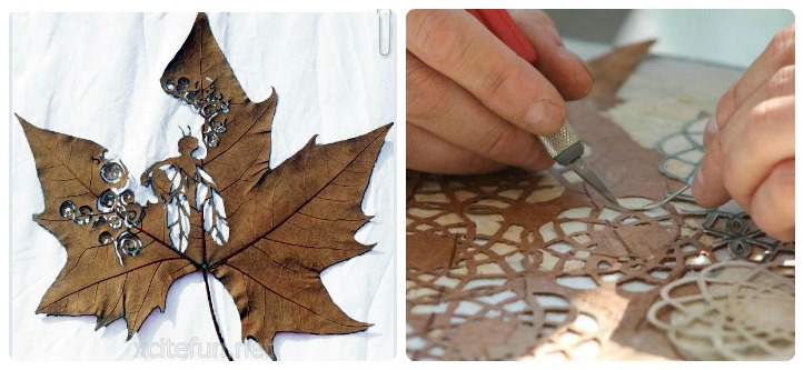 Leaf Artwork Feat