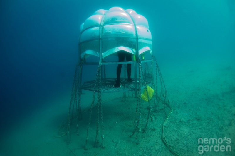 ITALY-ECOLOGY-RESEARCH-NEMO