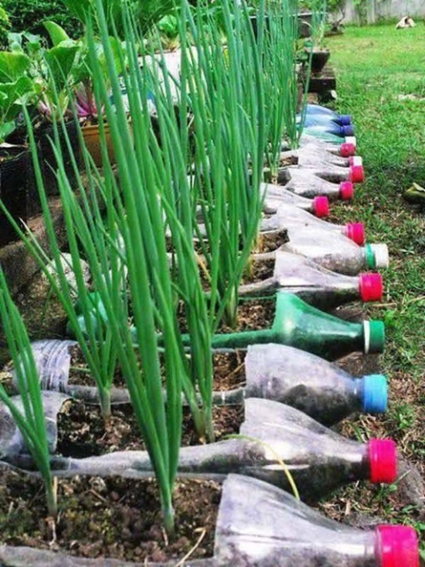 plastic-bottle-recycling-ideas-6