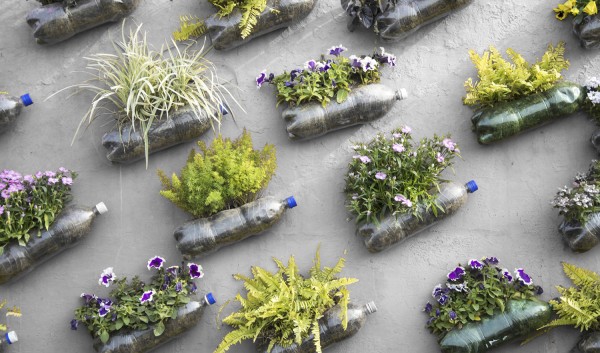 Plastoc pop bottle wall garden having many of these units on the background.