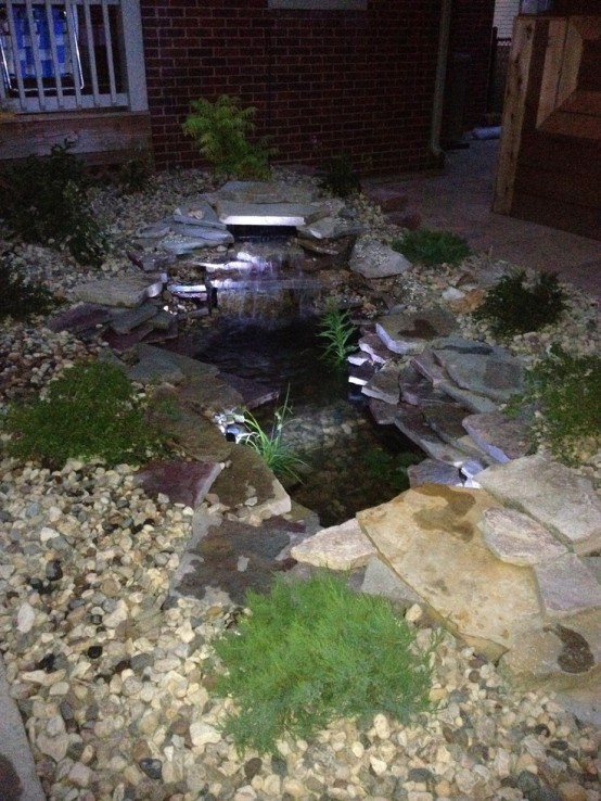 Backyard Pond 16