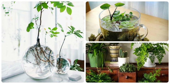 IndoorMiniGarden Feat