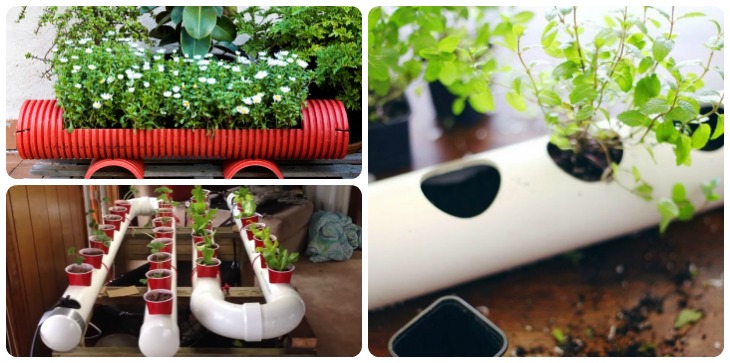 PVC Garden Feat