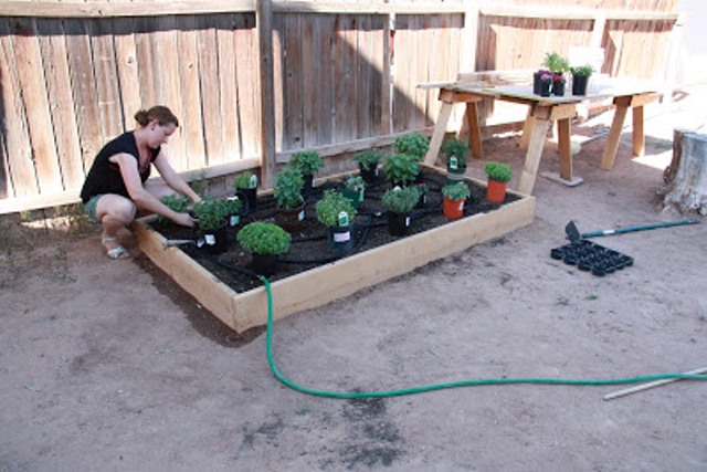 Raised Garden Beds 12