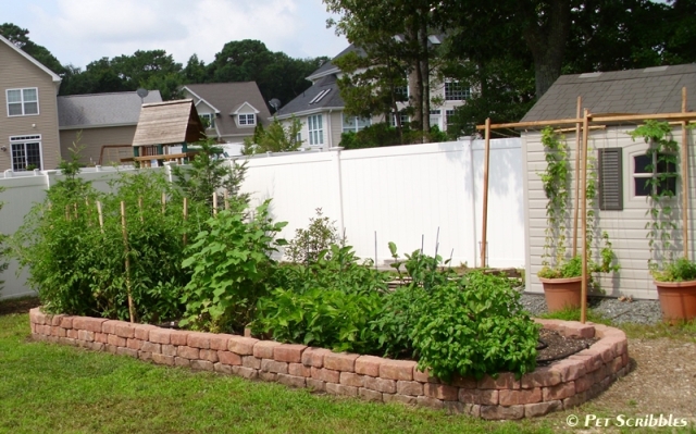 Raised Garden Beds 14
