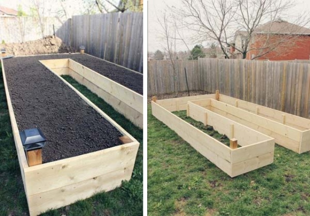Raised Garden Beds 6