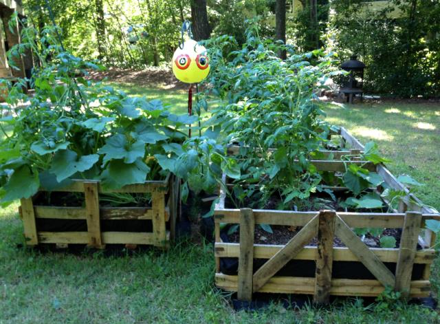 Raised Garden Beds 8