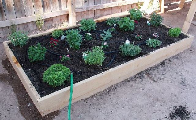 Raised Garden Beds 9