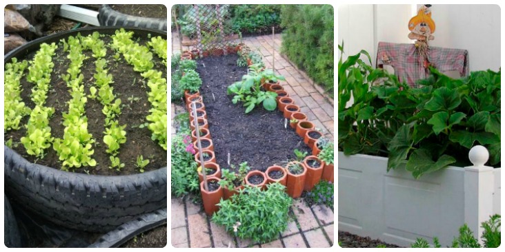 Raised Garden Beds Feat