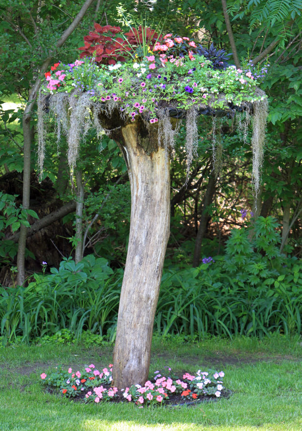 Tree Stump 2