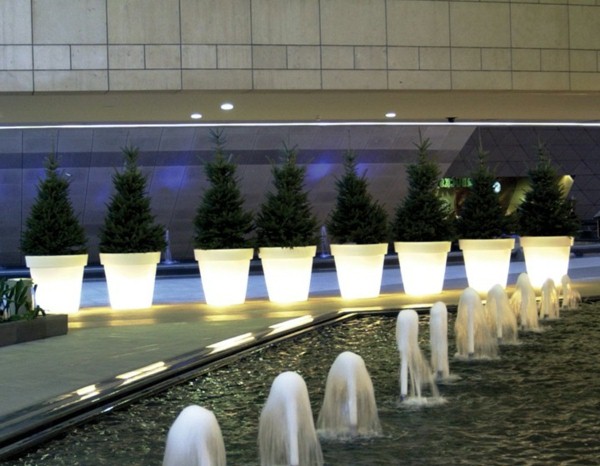 Illuminated Planters 12