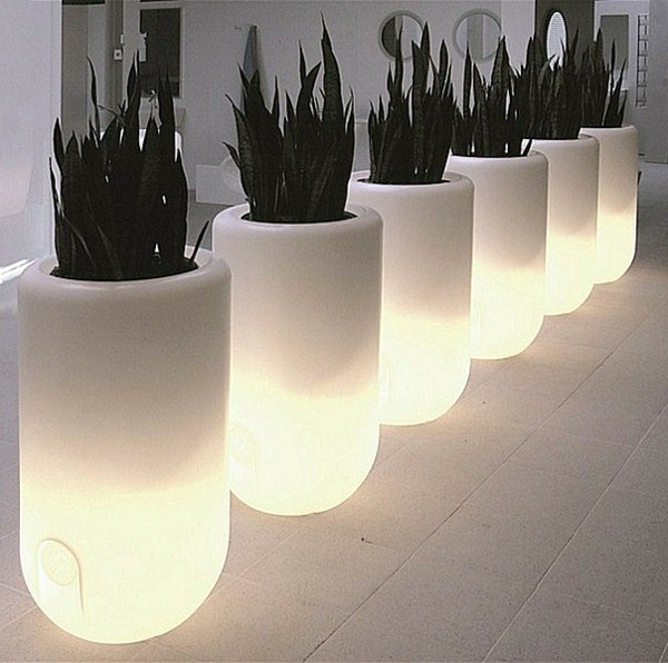 Illuminated Planters 16