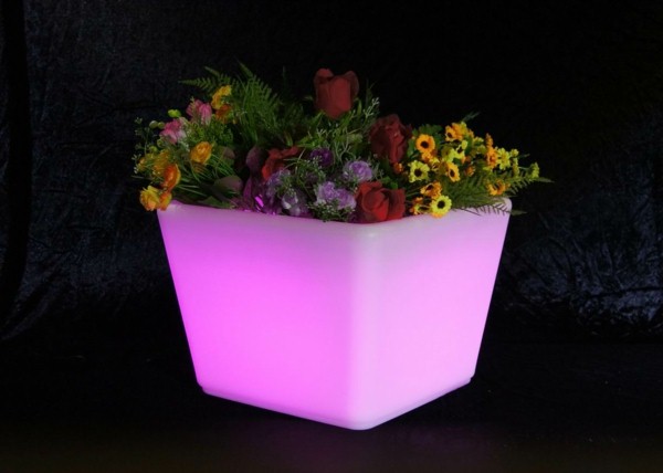 Illuminated Planters 20