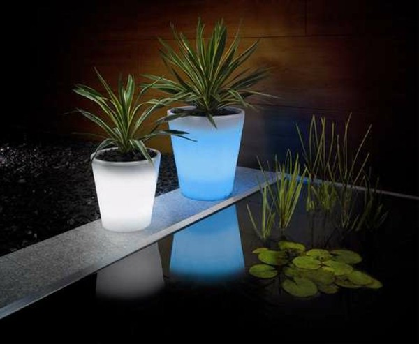 Illuminated Planters 7