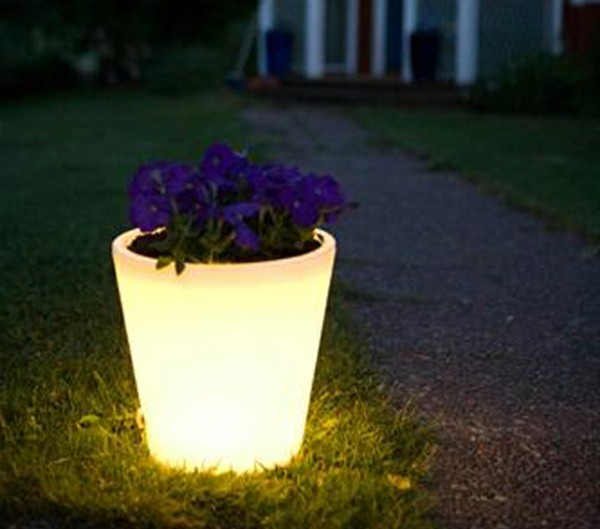 Illuminated Planters 9