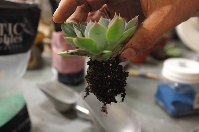 Layered Sand Planter 5