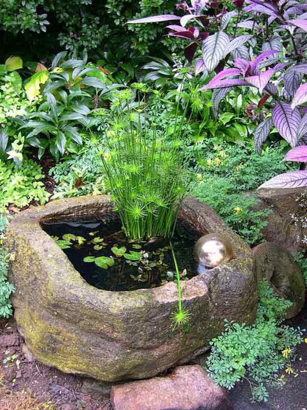 Pond In Pot 15