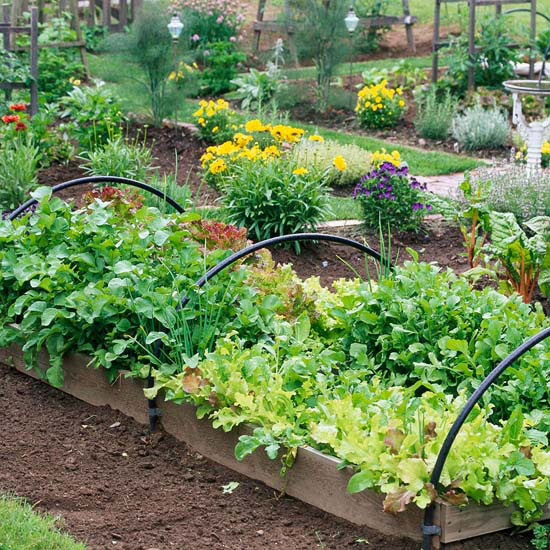 Source: Raised Bed with Cold Frame