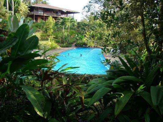 Inventing Backyard 7