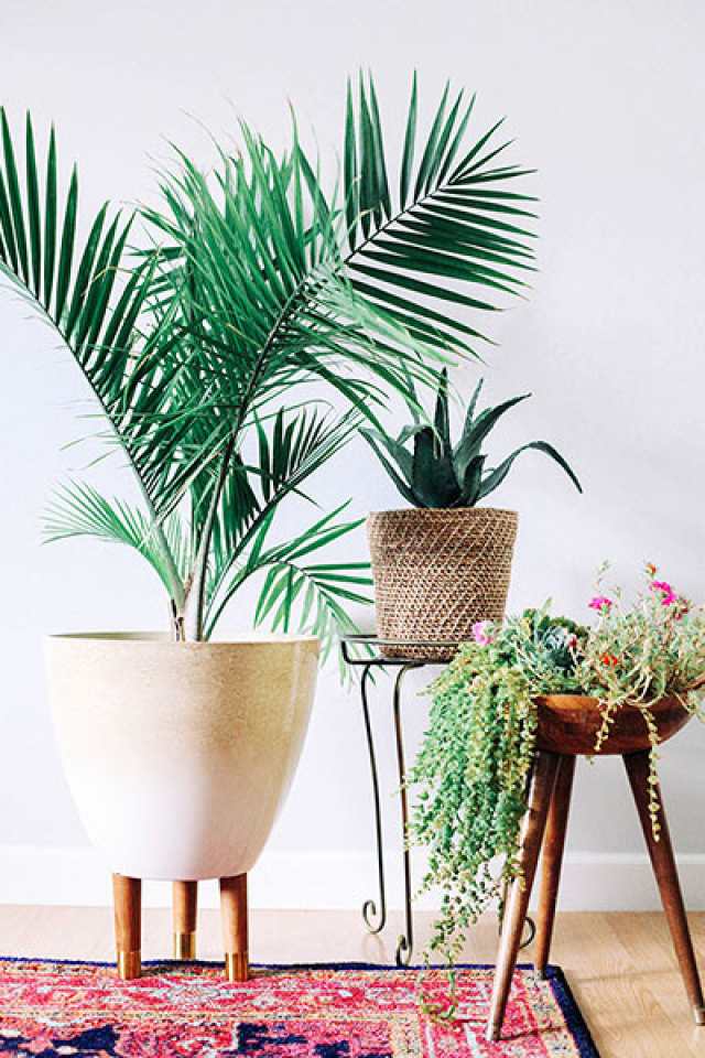 indoor-planters-2