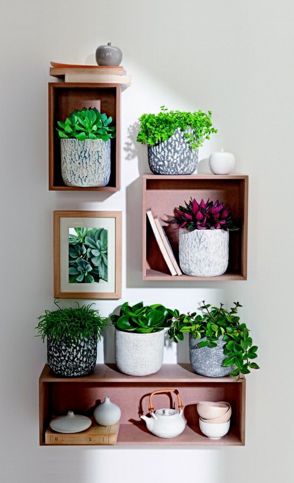 indoor-planters-4